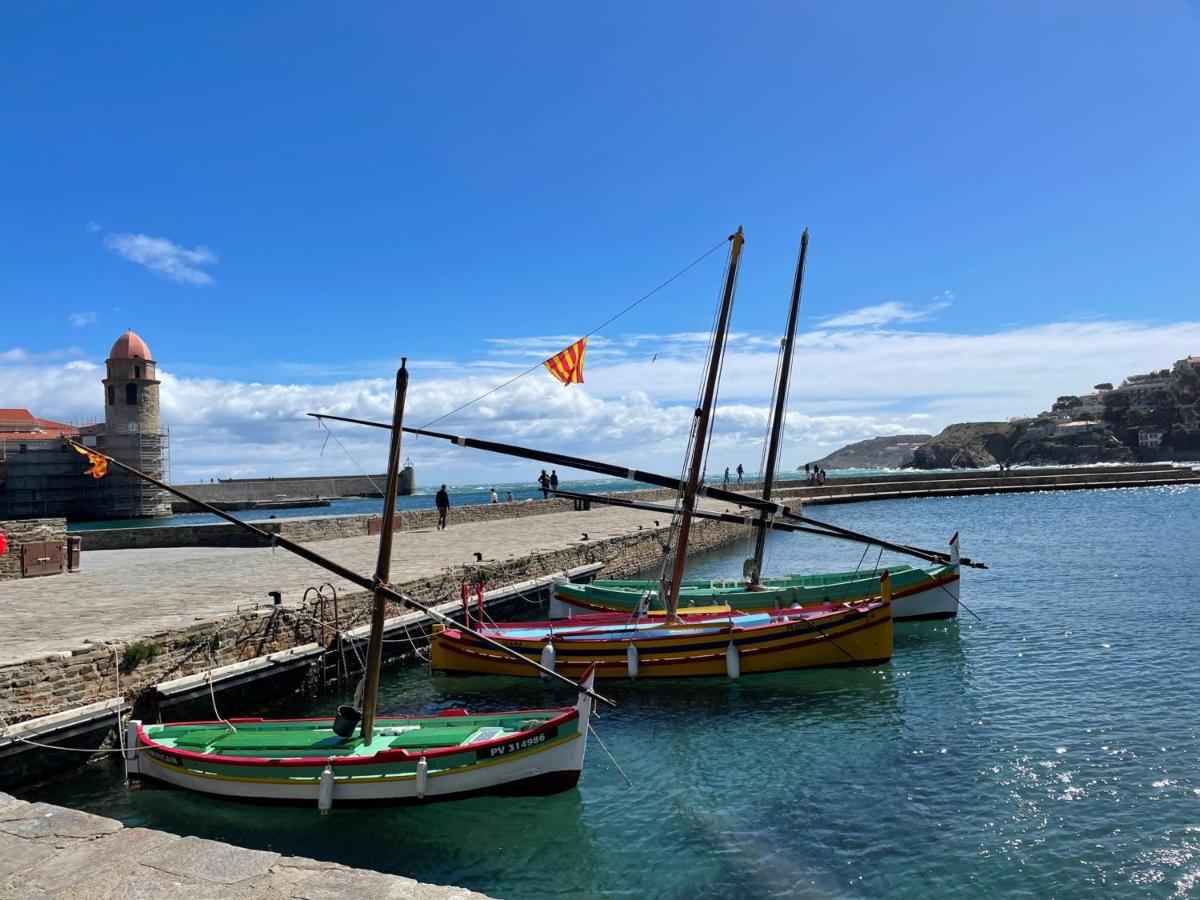 Апартаменты Charmant T2 Duplex Climatise Avec Terrasse, A Deux Pas De La Plage Du Port D'Avall, Collioure - Fr-1-309-233 Экстерьер фото